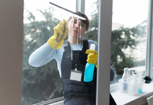 Nettoyage de vitres intérieures et extérieures à Troyon